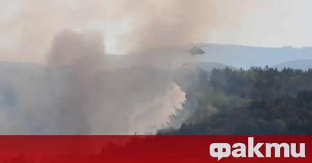 Военнослужещи от Сухопътните войски и Военновъздушните сили с два вертолета