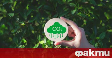 Учени в Швейцария създадоха нов жив материал съдържащ синьо зелени водорасли