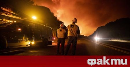 Най малко 14 души са пострадали при мащабните пожари в Калифорния