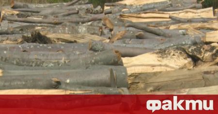 Временна парламентарна комисия ще решава проблемите с недостига на дърва