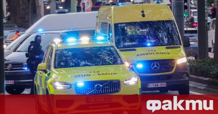 Петдесет и две деца са били заченати в Белгия между