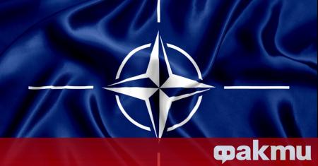 Германия ще обсъди със своите партньори в НАТО и ЕС