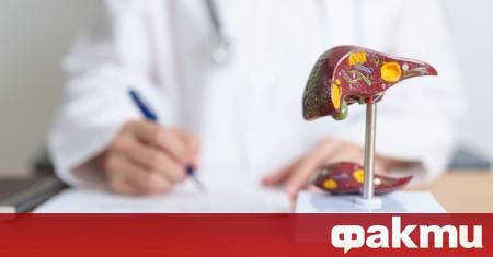 През 2023 г в Европейския съюз са регистрирани 3172 смъртни