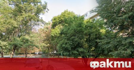 Живущи в блок 11 в столичния квартал Свобода излязоха на