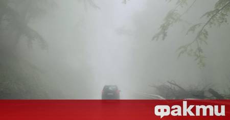 Гъста мъгла затруднява движението на прохода Петрохан алармират шофьори в