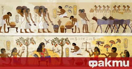 Кметове са били назначавани за пръв път в Древен Египет