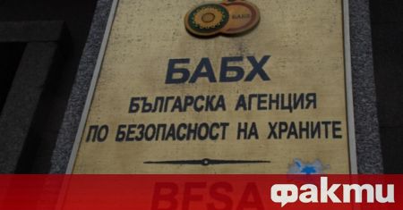 Затвориха кухня майка на търговска верига в Пловдив