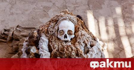 Докато извършвали рутинни изкопни дейности за разширяване на газопреносната мрежа