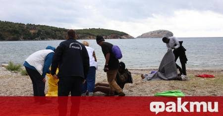 Телата на жена и четиригодишно момче бяха открити край гръцкия