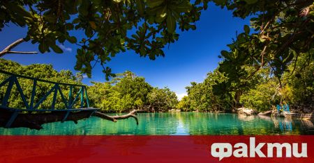 Тихоокеанската островна държава Вануату регистрира първия си случай на коронавирус