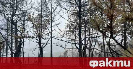 В пет часа тази сутрин повече от 150 пожарникари горски