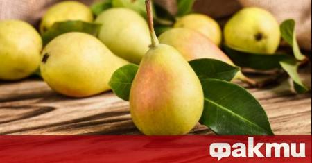 Българският потребител консумира не повече от 15 20 родни плодове и