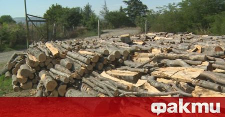 40 хиляди кубика дърва са продадени в Благоевградско до началото