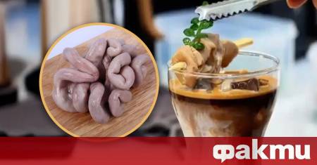 Кафене в югозападен Китай стана интернет сензация след като пусна