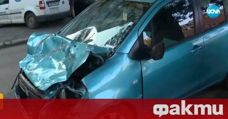 Пореден тежък инцидент с бивол в София Животното се озовало