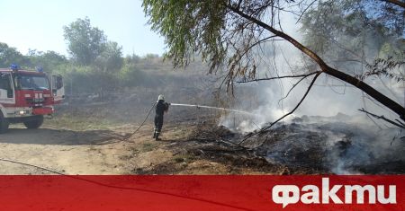 Пожарът между варненските села Бенковски и Здравец, община Аврен, отново