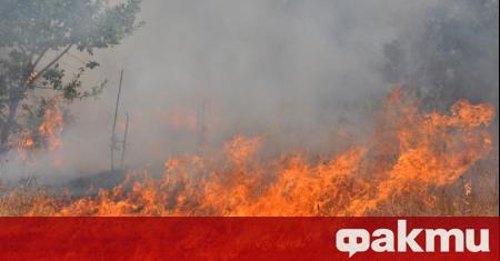 Сериозен риск от пожари в 13 области на страната предаде