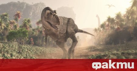 Група учени допускат че най известният род хищни динозаври тиранозавър
