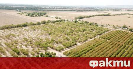 Браншова камара Плодове и зеленчуци БКПЗ изразява сериозна тревога от