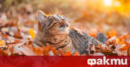 В сутрешните часове на места в равнинната част от страната