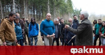 Наш дълг е да пазим и развиваме българската гора Тя
