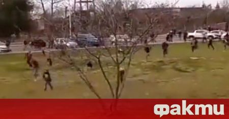 Кошмарни сцени по време на футболен мач в Аржентина Най малко