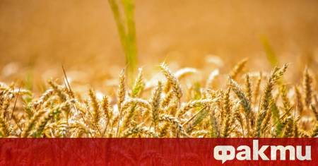 Ще бъде предимно слънчево горещо и стабилно Синоптиците от НИМХ