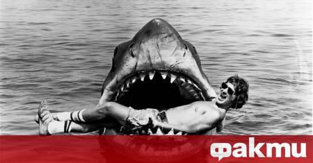 На 20 юни се навършват 50 години от легендарния Челюсти