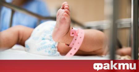 4400 са акушерките у нас в момента На 100 000