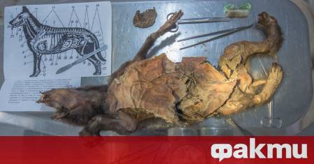 Учени от университета в Упсала успяха да получат генома на