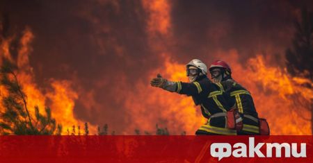 Два големи горски пожара в южната част на атлантическото крайбрежие