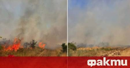 Пожар гори в лозови масиви на изхода на Асеновград в