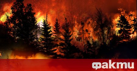 Огромен земеделски и горски пожар предизвикан от силни пориви на