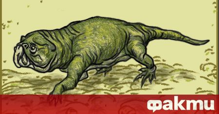 Аржентински изследователи са се натъкнали на нов вид ринхозаври които