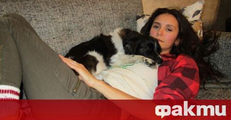 Родената в София холивудска актриса Нина Добрев се забърка в