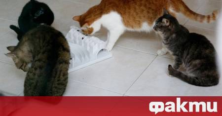 Полицията в Стара Загора разследва сигнали че мъж и жена