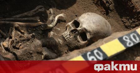 Човешки скелет от преди 8500 години бе открит в двора