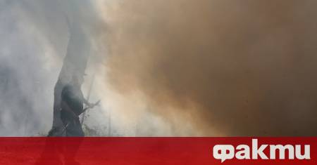 Различните пожари бушуващи във Франция са изпепелили близо 98 000