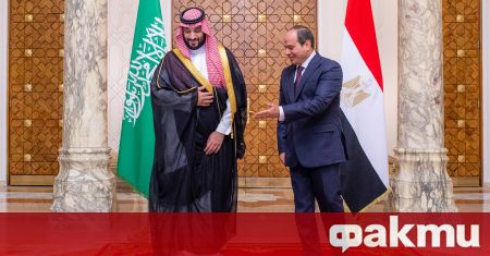 Египет и Саудитска Арабия подчертаха необходимостта от подкрепа за международните