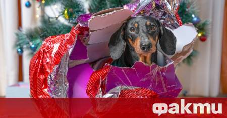 През декември въпросът Какво да подаря за Коледа и Нова