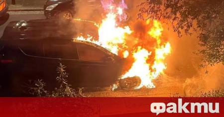 21 годишният украински гражданин Роман Лавринович бе обвинен за пожари в