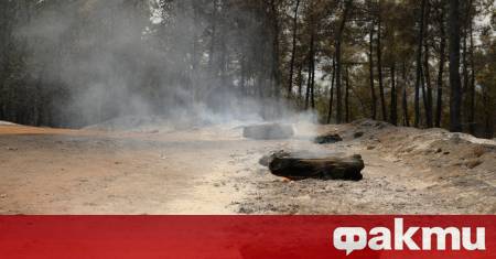 Заради критичното положение с горските пожари Сърбия няма ресурс да