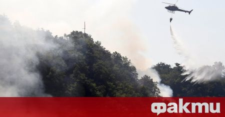 Редица пожари горят в момента в цяла Албания а температурите