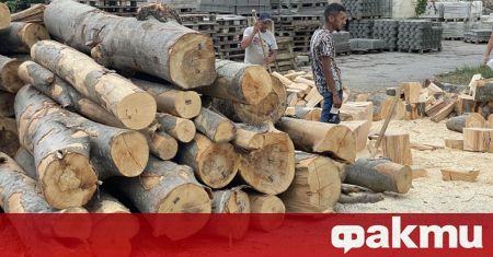 Министерство на земеделието забранява износа на дървесина към трети страни.