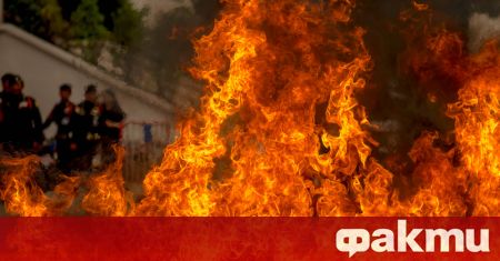 Пламъците на горски пожар в района на турския егейски курорт