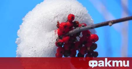 Днес отново ще бъде много ветровито със силен вятър с