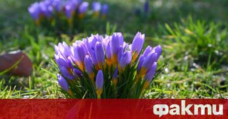 До сутринта облачността над много райони ще намалее предаде БТА