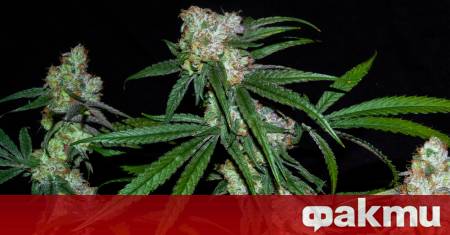 Жителите на турския град Лидже се напушиха след като полицията