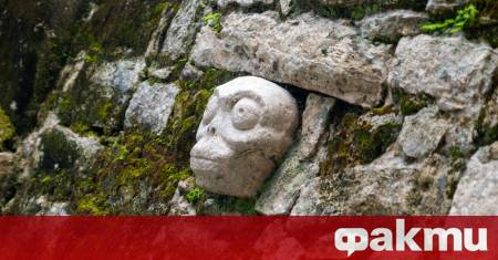 Археолози от Националния институт по антропология и история в мексиканската