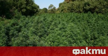 Страшна изненада по време на разследване на гранична полиция на